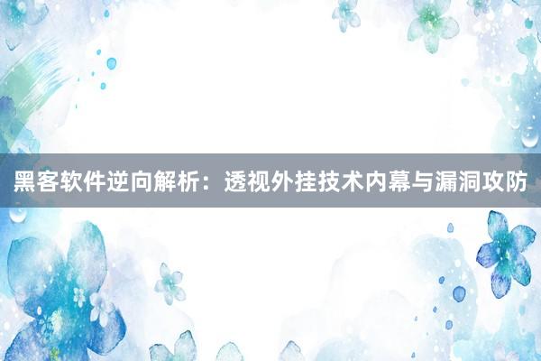 黑客软件逆向解析：透视外挂技术内幕与漏洞攻防